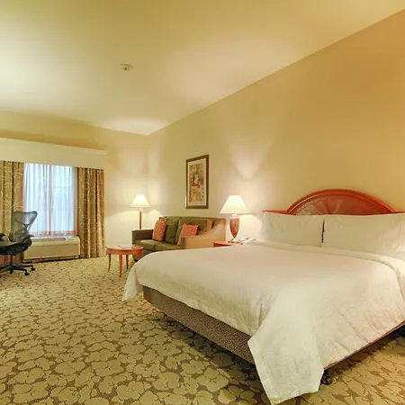 Hilton Garden Inn Las Vegas Strip South Esterno foto